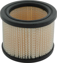 Load image into Gallery viewer, ALLSTAR PERFORMANCE 13014 Filter for Driver Air System