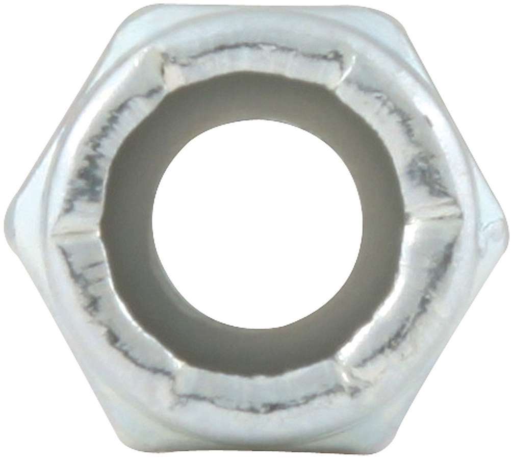 ALLSTAR PERFORMANCE 16010-10 Nylon Insert Nuts 1/4-20 10pk