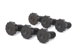 ALLSTAR PERFORMANCE ALL16176 ALLSTAR PERFORMANCE Flexplate Bolt Kit M11-1.50 x 0.880 in, 6-Pack
