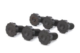 ALLSTAR PERFORMANCE ALL16176 ALLSTAR PERFORMANCE Flexplate Bolt Kit M11-1.50 x 0.880 in, 6-Pack
