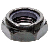 ALLSTAR PERFORMANCE 17048 Black Half Nuts 1/2-20 10pk