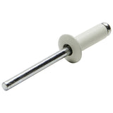 ALLSTAR PERFORMANCE 18001 Sm Hd Rivet White 250pk