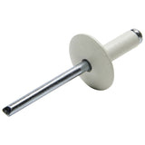 ALLSTAR PERFORMANCE 18011 Lg Hd Rivet White 250pk
