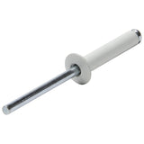 ALLSTAR PERFORMANCE 18021 Sm Hd Rivet White 250pk