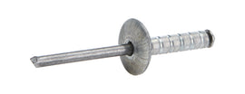 ALLSTAR PERFORMANCE 18093 Lg Hd Rivet Silver 250pk Multi Grip