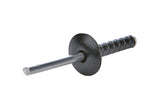 ALLSTAR PERFORMANCE 18095 Lg Hd Rivet Black 250pk Multi Grip