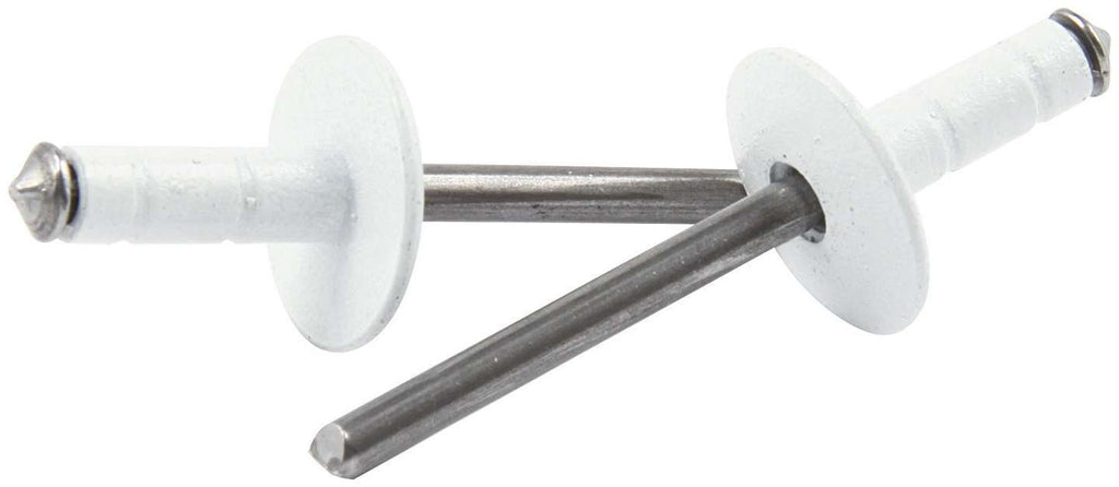 ALLSTAR PERFORMANCE 18096 Lg Hd Rivet White 250pk Multi Grip