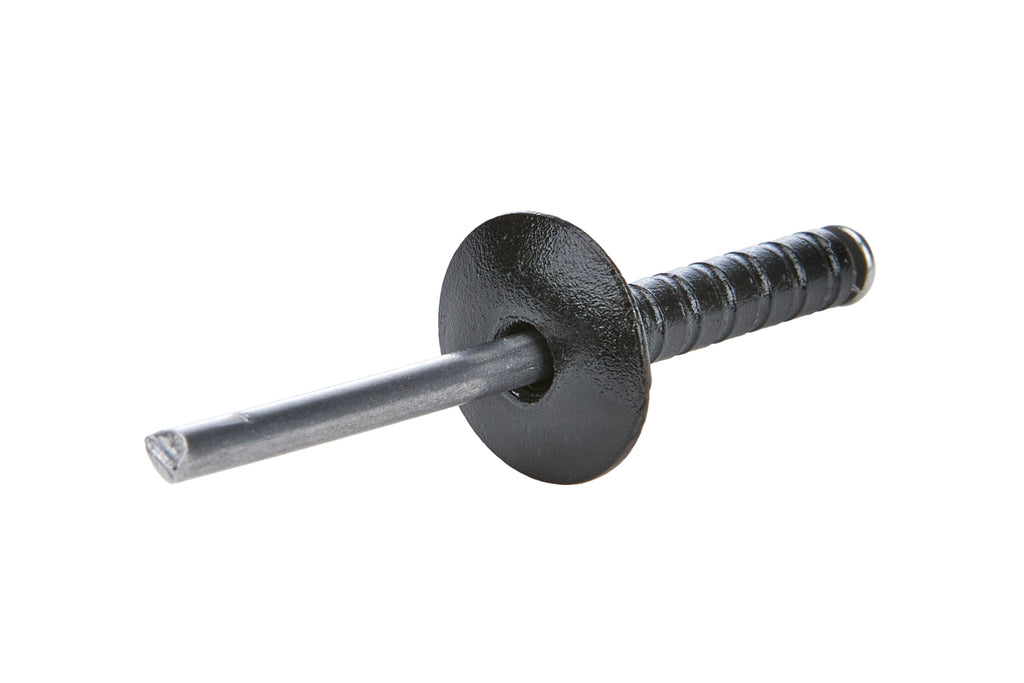 ALLSTAR PERFORMANCE 18097 Lg Hd Rivet Black 250pk Multi Grip