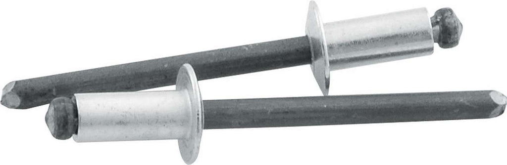 ALLSTAR PERFORMANCE 18101 Sm Hd Rivet Silver 250pk