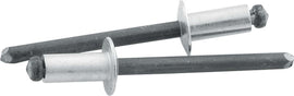 ALLSTAR PERFORMANCE 18101 Sm Hd Rivet Silver 250pk