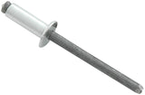 ALLSTAR PERFORMANCE 18103 Sm Hd Rivet Silver 250pk