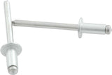 ALLSTAR PERFORMANCE 18107 Sm Hd Rivet Silver 250pk