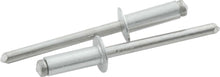 Load image into Gallery viewer, ALLSTAR PERFORMANCE 18109 Sm Hd Rivet Silver 250pk