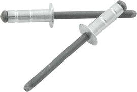 ALLSTAR PERFORMANCE 18110 Sm Hd Rivet Silver 250pk Multi-grip