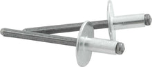 Load image into Gallery viewer, ALLSTAR PERFORMANCE 18141 Lg Hd Rivet Silver 250pk