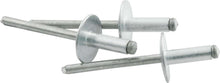Load image into Gallery viewer, ALLSTAR PERFORMANCE 18151 Lg Hd Rivet 250Pk Silver