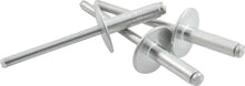 Load image into Gallery viewer, ALLSTAR PERFORMANCE 18153 Lg Hd Rivet 250Pk Silver