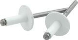 ALLSTAR PERFORMANCE 18156 Lg Hd Rivet 250Pk White