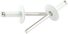 ALLSTAR PERFORMANCE 18158 Lg Hd Rivet White Alum 250pk