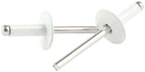 ALLSTAR PERFORMANCE 18158 Lg Hd Rivet White Alum 250pk