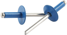 Load image into Gallery viewer, ALLSTAR PERFORMANCE 18175 Lg Hd Rivet Blue Alum 250pk Pepsi