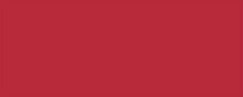 Load image into Gallery viewer, ALLSTAR PERFORMANCE 22209 Aluminum Red/Red 4x10