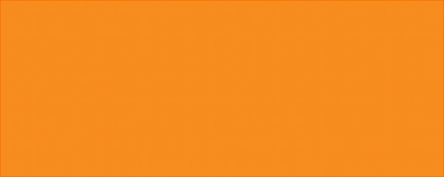 ALLSTAR PERFORMANCE 22244 Aluminum Vib Orange/Vib Orange 4x10