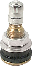 Load image into Gallery viewer, ALLSTAR PERFORMANCE 44134-10 Brass Valve Stems Bolt In 10pk