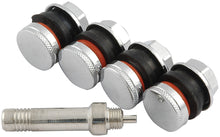 Load image into Gallery viewer, ALLSTAR PERFORMANCE 44137 Valve Stem Flush Mount 4pk