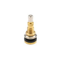 Load image into Gallery viewer, ALLSTAR PERFORMANCE ALL44164 Allstar Performance Brass Valve Stem with .625 Inch Fast Flow Core