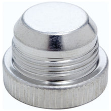 Load image into Gallery viewer, ALLSTAR PERFORMANCE 50837 -16 Aluminum Plugs 10pk