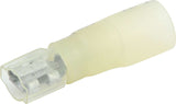 ALLSTAR PERFORMANCE 76088 Blade Terminal Female Heat Shrink 12-10 10pk