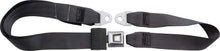 Load image into Gallery viewer, ALLSTAR PERFORMANCE 98112 Seat Belt Charcoal