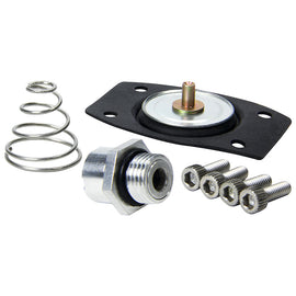 ALLSTAR PERFORMANCE 99430 Rebuild Kit for ALL40290
