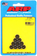 Load image into Gallery viewer, ARP 301-8340 1/4-20 12pt. Nuts (10)