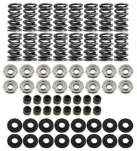 Load image into Gallery viewer, BRIAN TOOLEY RACING SK001/S/0560/BB Platinum Dual Spring LS Kit Steel Retainer