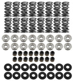 BRIAN TOOLEY RACING SK001/S/0560/BB Platinum Dual Spring LS Kit Steel Retainer