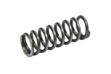 Load image into Gallery viewer, BERT TRANSMISSIONS SG-1158 Spring 5/16