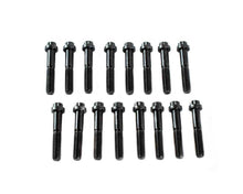 Load image into Gallery viewer, BRIAN TOOLEY RACING TK/BOLTS02-16 Brian Tooley Racing Rocker Arm Trunnion Bolt Kit for GM LS-Series Engines (16 Pack)
