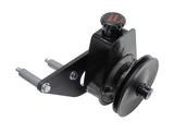BORGESON 800336 P/S Pump Upgrade Ford