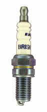 Load image into Gallery viewer, BRISK RACING SPARK PLUGS BR12S Spark Plug Silver Racing