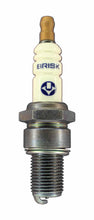 Load image into Gallery viewer, BRISK RACING SPARK PLUGS LR10SL Spark Plug Silver Racing