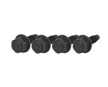 Load image into Gallery viewer, BRIAN TOOLEY RACING BTR-51163-4 Brian Tooley Racing BTR-51163-4 Lifter Tray Bolts - 6mm x 1.0 Thread, 0.75 Inch Length, Steel, Black Oxide, Set of 4