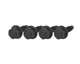 BRIAN TOOLEY RACING BTR-51163-4 Brian Tooley Racing BTR-51163-4 Lifter Tray Bolts - 6mm x 1.0 Thread, 0.75 Inch Length, Steel, Black Oxide, Set of 4