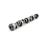 BRIAN TOOLEY RACING BTR-CENTRISTAGE2 Brian Tooley Racing LS Stage 2 Centrifugal Supercharged Camshaft (Part BTR-CENTRISTAGE2)