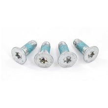Load image into Gallery viewer, BRIAN TOOLEY RACING BTR61455-4 Cam Retainer Bolt Set