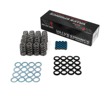Load image into Gallery viewer, BRIAN TOOLEY RACING SK024 BRIAN TOOLEY RACING Valve Spring Kit for 6.4 Hemi Engines