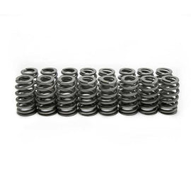 BRIAN TOOLEY RACING SP011-16 LS6 Beehive Springs .560 Lift (16)