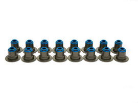 BRIAN TOOLEY RACING VS LS HAT KIT Brian Tooley Racing Valve Seal Set for 2001+ LS Engines - 16 Pieces