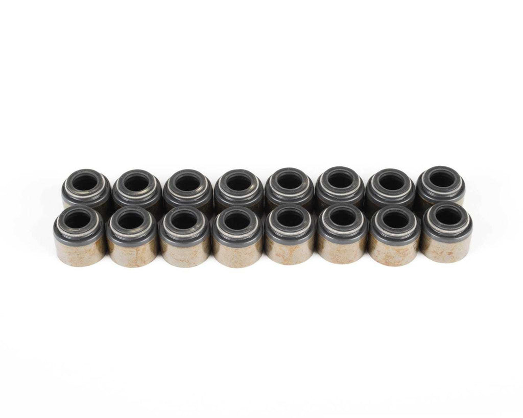 BRIAN TOOLEY RACING VSLSKIT LS Valve Seal Kit